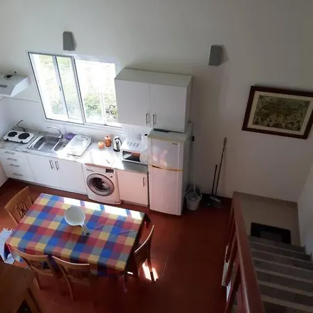 And Blue - Blue Ribeira Grande